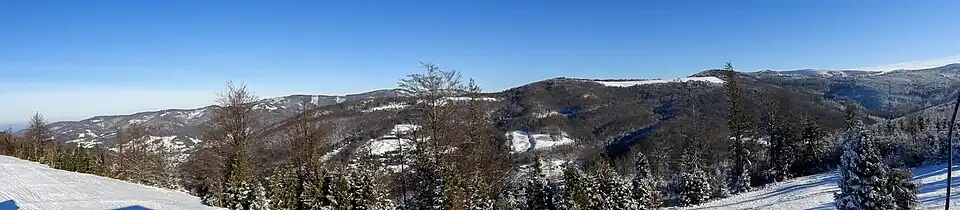 Widok z wieży widokowej na wschód