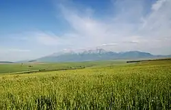 Widok na Tatry ze ścieżki rowerowej
