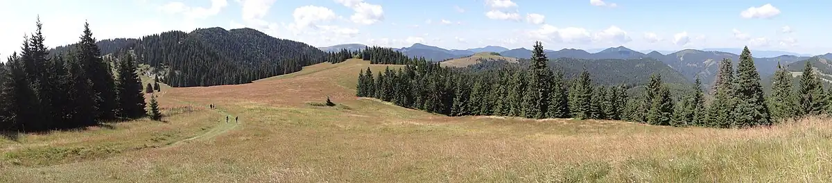 Panorama widokowa z grzbietu Malej Smrekovicy