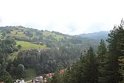 Widok z platformy widokowej w kiedunku doliny potoku Czercz