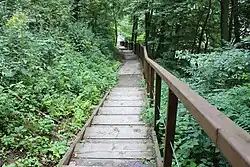 Ścieżka w dół zbocza