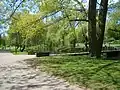 Widok na jedną z alejek parku i most na Zgłowiączce