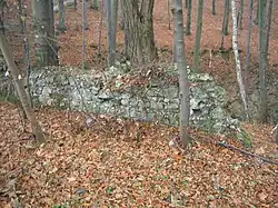 Fragment byłego muru klasztoru w Czernej