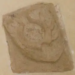 Herb Rogala na kościele w Świętomarzu, datowany na ok. 1370 rok