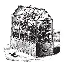  Czarno-biały rysunek przedstawia szklaną skrzynkę zamkniętą dwuspadowym szklanym daszkiem, w środku widoczne rośliny podobne do palmy. Całość stoi na podstawie z uchwytami. Obok skrzynki stoi mały ptak.