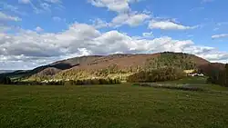 Widok na Chełm z Wawrzki