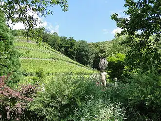 Winnica z rzeźbą autorstwa Małgorzaty Chodakowskiej