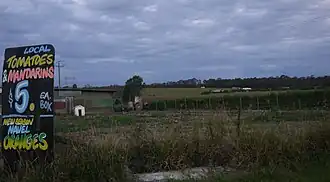 Widok na teren portu lotniczego z drogi A9.