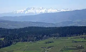Widok na Tatry ze Skiełka
