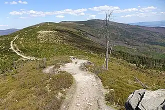 Widok na Kopę Skrzyczeńską z Malinowskiej Skały