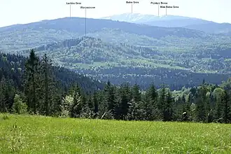 Widok z polany pod Uboczą