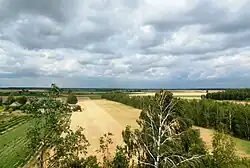 Widok ze szczytu kopca (2016)