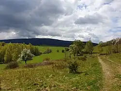 Wielka Sowa od strony Rościszowa na czerwonym szlaku