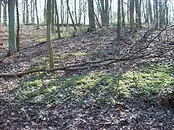 Park Narodowy wiosną