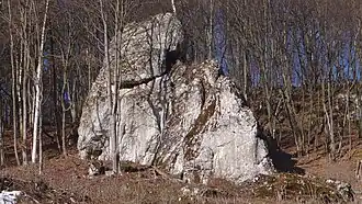 Wietrznik od strony drogi