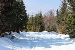 Szlak na Magurkę Wilkowicką zimą