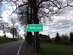 DW523 we Wilkowie