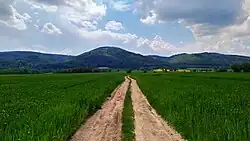 Widok na górę Czeszkę latem