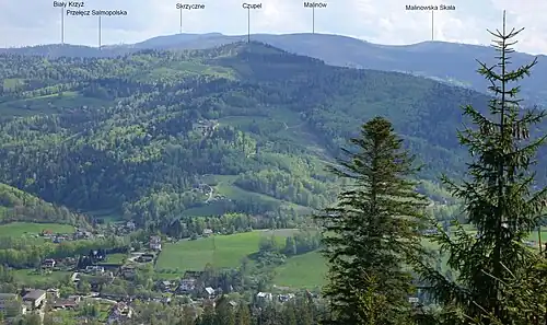 Widok z Krzakoskiej Skały