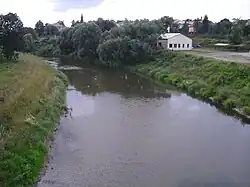 Wisłok w Strzyżowie