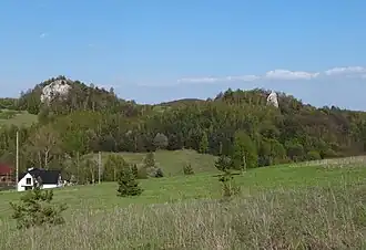 Witkowe Skały i Łyse Skały
