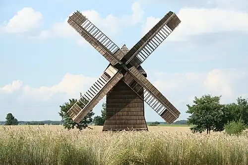 Wiatrak koźlak z Wroniaw