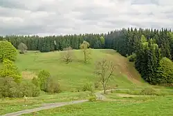 Dolina Luty we Wrzosówce