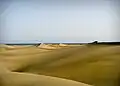Wydmy Maspalomas