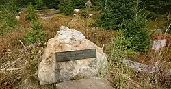 Wykapy Czarnej Wisełki