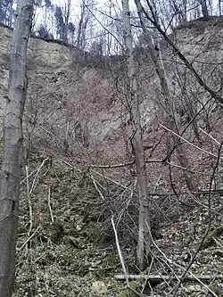 Wyrobisko po kamieniołomie porfiru Orlej na Głuchówkach