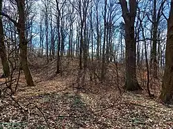 widok na Gnieździec