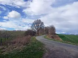 Widok z Farnego Upłazu