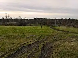 Widok w kierunku Wzgórza Gajowego