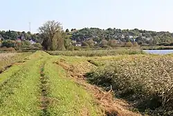 Wzgórze od strony Regalicy