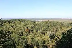 Park Leśny Zdroje – Panorama Szczecina