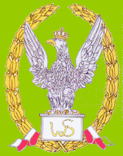 Wzorowy Szef Pododdziału