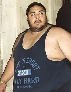 Yokozuna