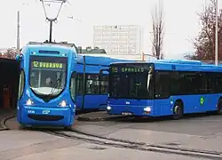 Zdjęcie przedstawia środki transportu miejskiego:tramwaj i autobus. Są niebieskiego koloru. Tramwaj linii 12 kieruję się w stronę Dubravy. Końcowym przystankiem autobusu linii 115 jest Skansko. W tle widać wysoki, biały budynek i drzewa.