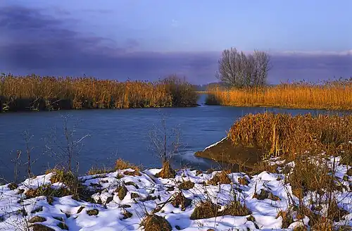 Bardača zimą (2014)