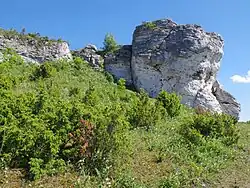 Widok od północnego zachodu