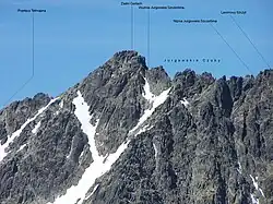 Widok ze Staroleśnego Szczytu