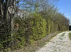 Słupek informacyjny