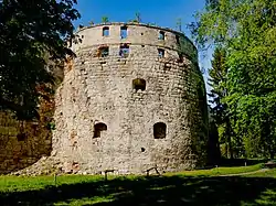 Zamek w Brzeżanach -ruina