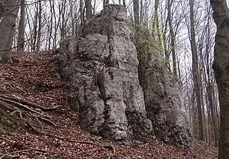 Zbędowa Skała (większa)