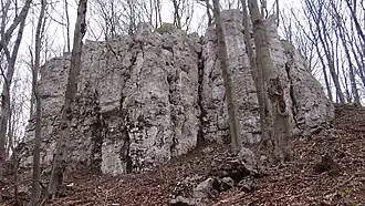 Zbędowa Skała (większa)