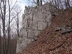 Zbędowa Skała (większa)