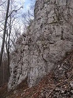 Zbędowa Skała (większa)