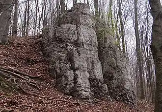 Zbędowa Skała (mniejsza)