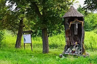 Starodrzew i drewniana kapliczka