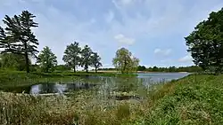 Pozostałości parku